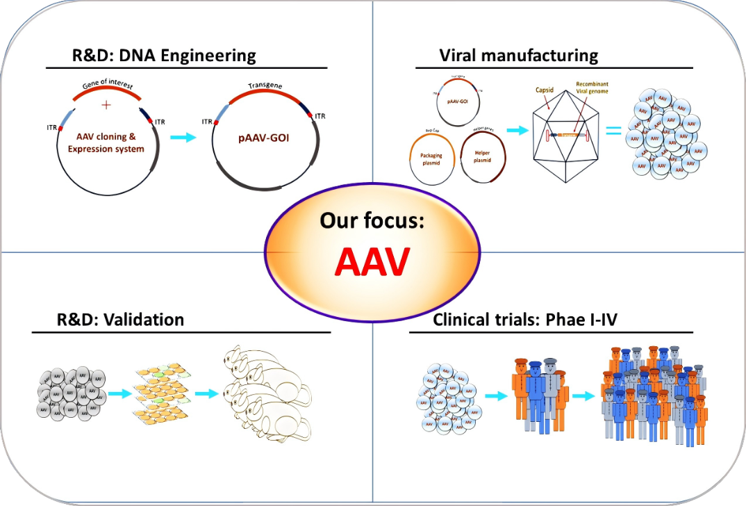 道基生物：解决基因疗法重大技术挑战